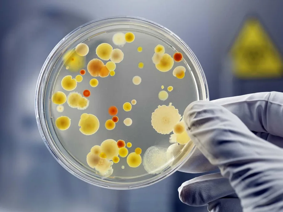 Resistencia a los antibióticos: el desafío sanitario europeo