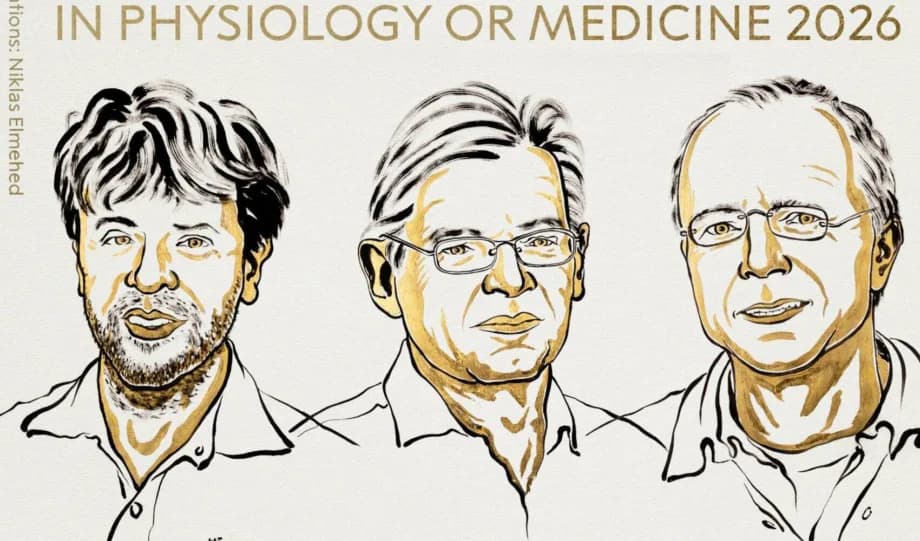 El Nobel de Medicina premia a los científicos que descubrieron cómo controlar neuronas con luz