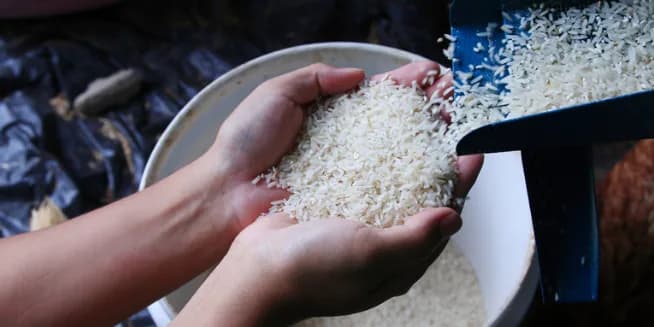 Rivero asegura Gobierno adoptará medidas para proteger productores de arroz