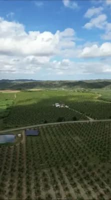 En Montecristi denuncian aumento de presencia de haitianos indocumentados y desplazamiento de mano de obra local