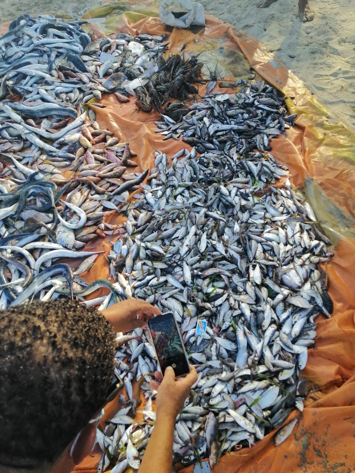 ULTIMÁTUM A LA PESCA ILEGAL EN MONTECRISTI!